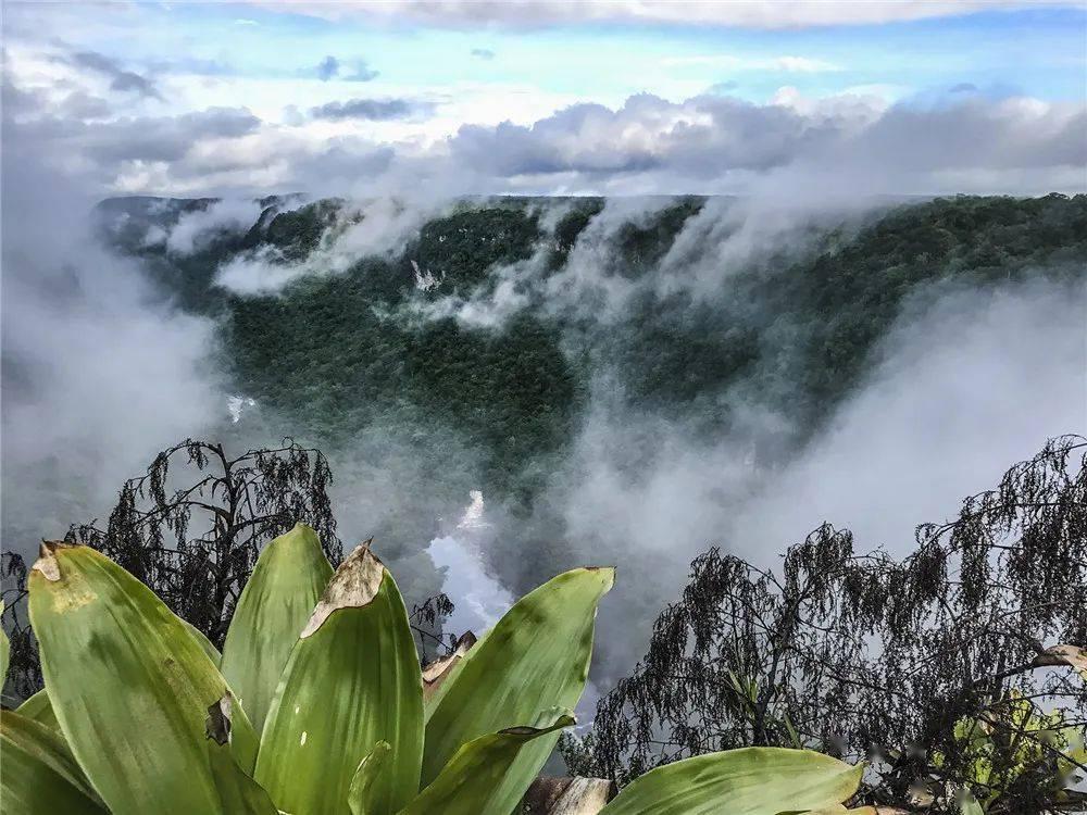 双点医院